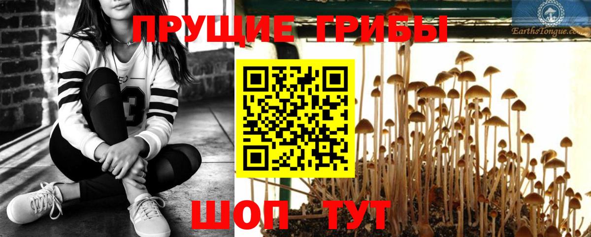 Псилоцибиновые грибы мухоморы Рассказово